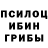 Псилоцибиновые грибы Cubensis Dasha Vatson