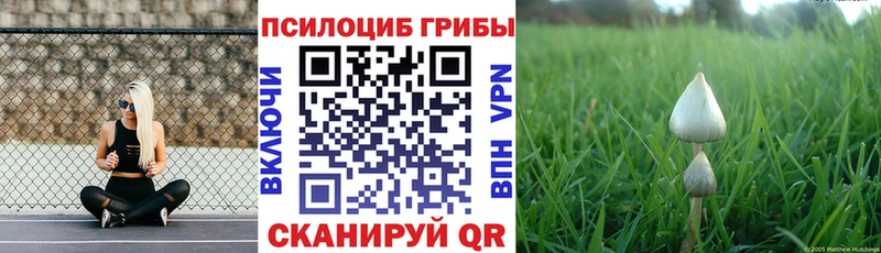 цена Алапаевск Галлюциногенные грибы GOLDEN TEACHER